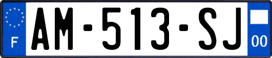 AM-513-SJ
