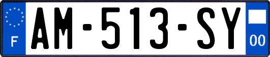 AM-513-SY