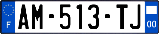 AM-513-TJ