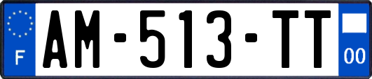 AM-513-TT