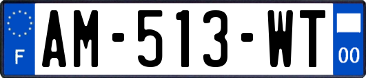 AM-513-WT