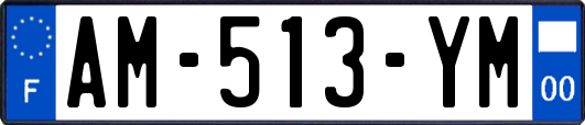 AM-513-YM