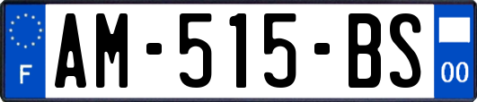 AM-515-BS