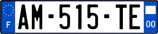 AM-515-TE