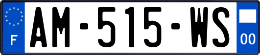 AM-515-WS