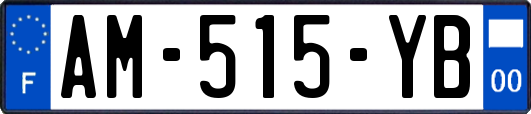 AM-515-YB