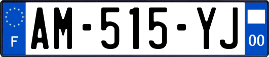 AM-515-YJ