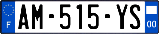 AM-515-YS