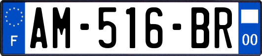AM-516-BR