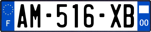 AM-516-XB