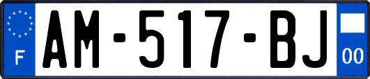 AM-517-BJ