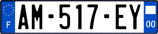 AM-517-EY