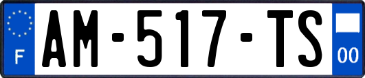 AM-517-TS