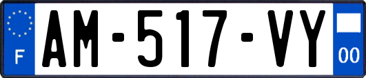 AM-517-VY