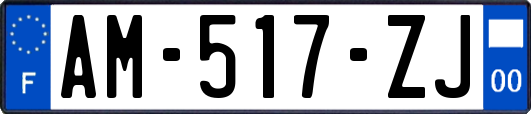 AM-517-ZJ