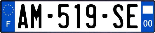 AM-519-SE