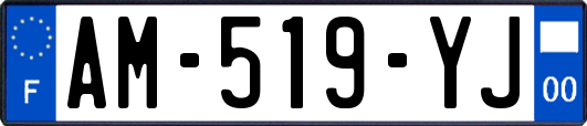 AM-519-YJ