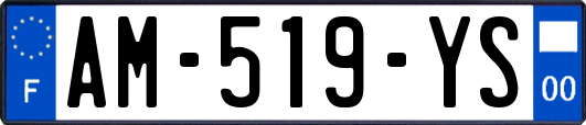 AM-519-YS