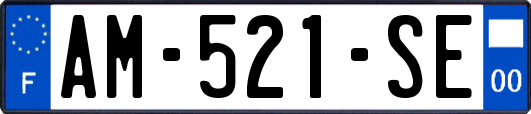AM-521-SE