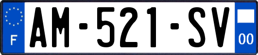 AM-521-SV