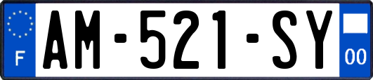 AM-521-SY