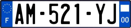 AM-521-YJ