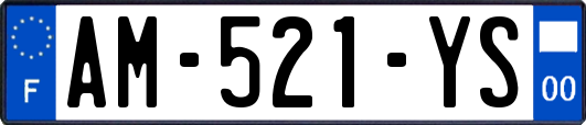 AM-521-YS