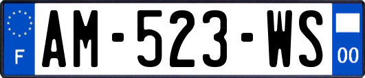AM-523-WS