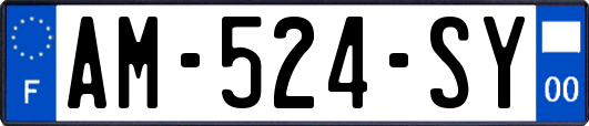 AM-524-SY