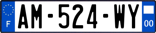 AM-524-WY