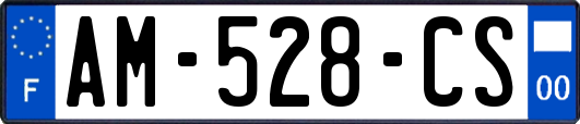 AM-528-CS