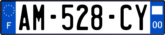 AM-528-CY