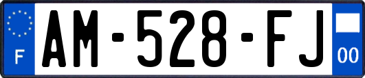 AM-528-FJ