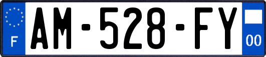 AM-528-FY