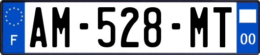 AM-528-MT