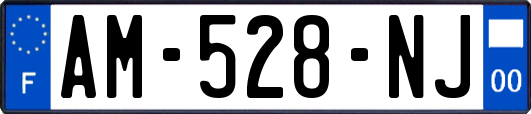 AM-528-NJ
