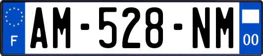 AM-528-NM