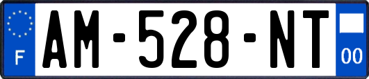 AM-528-NT