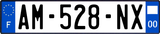 AM-528-NX