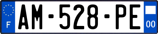 AM-528-PE