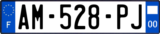 AM-528-PJ