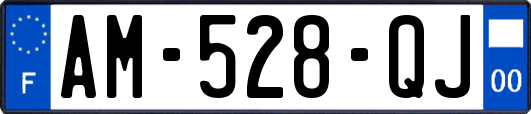 AM-528-QJ