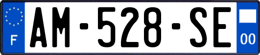 AM-528-SE