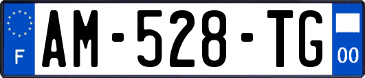 AM-528-TG