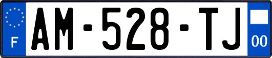AM-528-TJ
