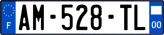AM-528-TL