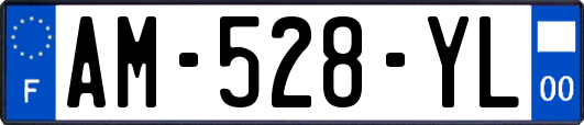AM-528-YL