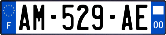 AM-529-AE