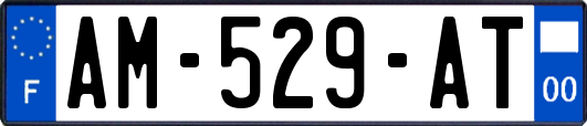 AM-529-AT