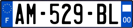 AM-529-BL